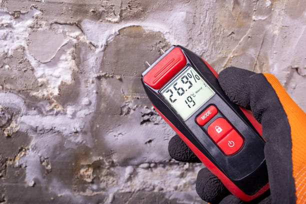 Best Localized Mold Remediation (e.g., coastal areas, humid climates) in Pontiac, IL