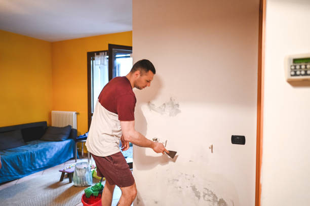 Best Post-Remediation Services in Pontiac, IL